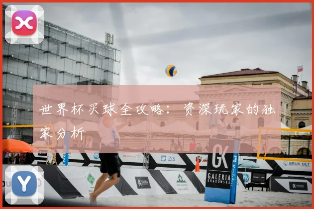 世界杯买球全攻略：资深玩家的独家分析