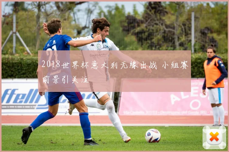 2018世界杯意大利无缘出战 小组赛前景引关注