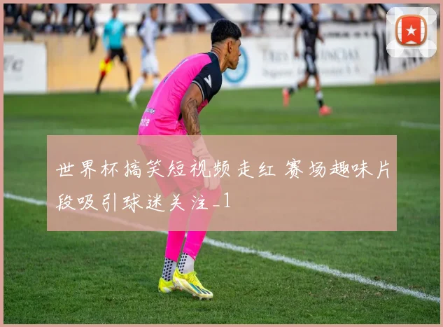 世界杯搞笑短视频走红 赛场趣味片段吸引球迷关注_1