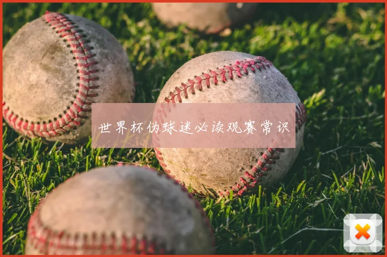 世界杯伪球迷必读观赛常识