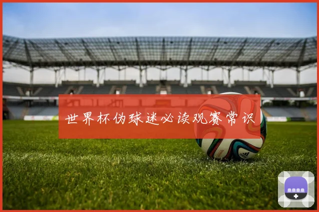 世界杯伪球迷必读观赛常识
