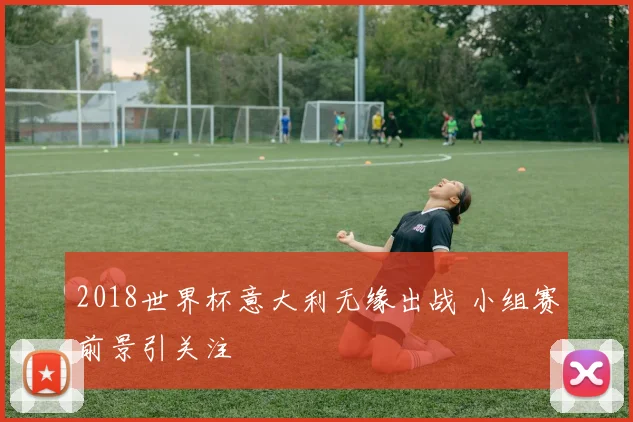 2018世界杯意大利无缘出战 小组赛前景引关注