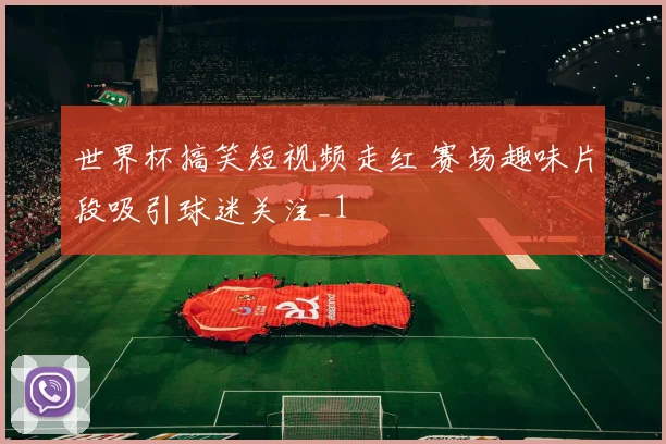 世界杯搞笑短视频走红 赛场趣味片段吸引球迷关注_1