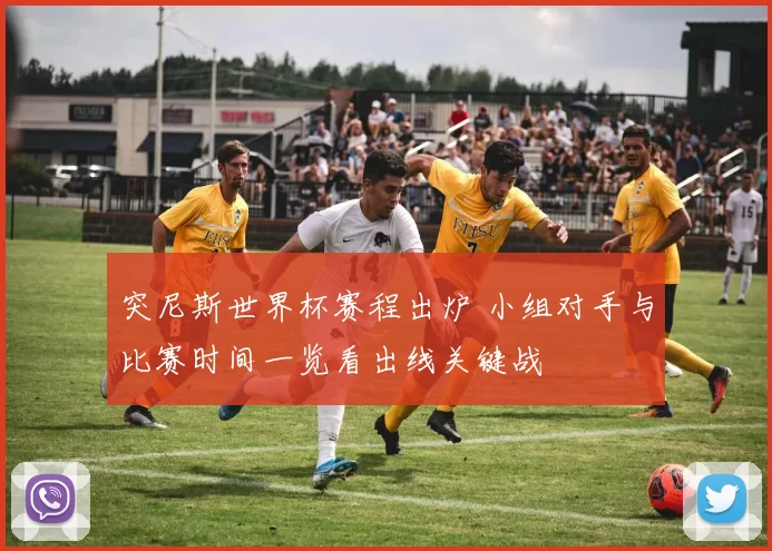 突尼斯世界杯赛程出炉 小组对手与比赛时间一览看出线关键战